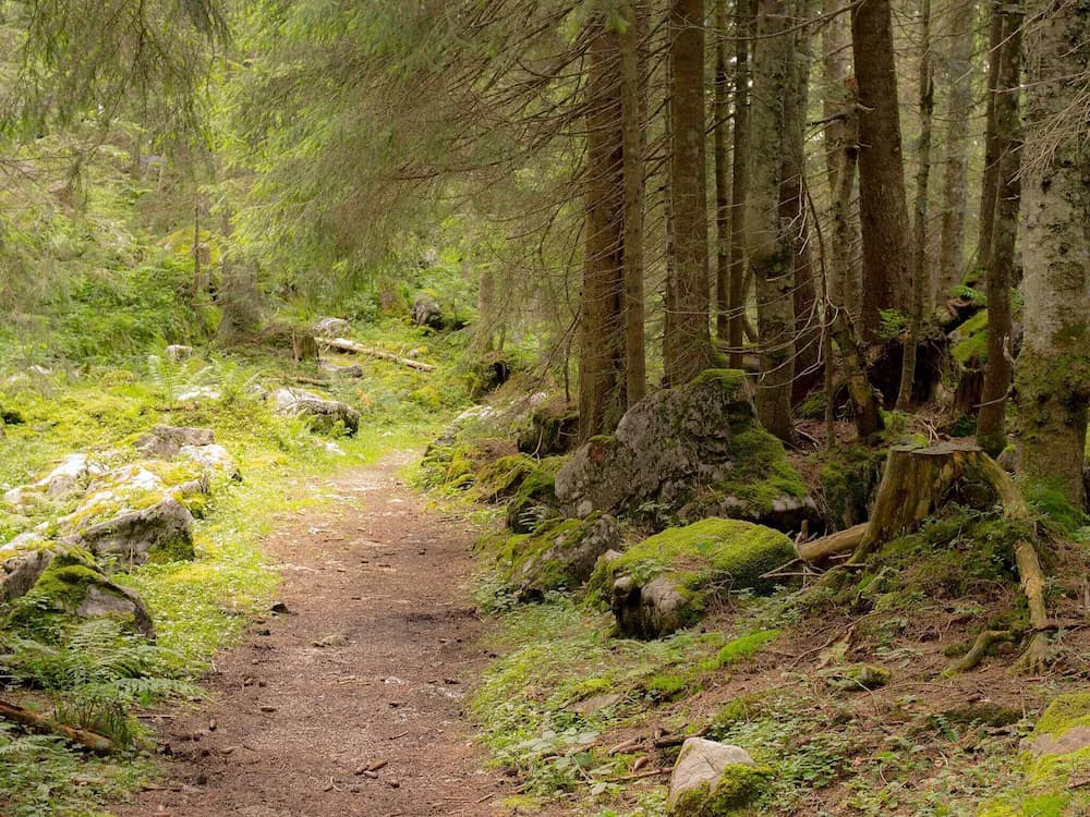Hiking