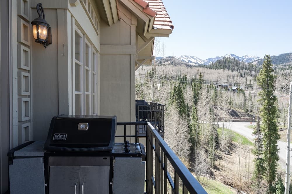BBQ/picnic area