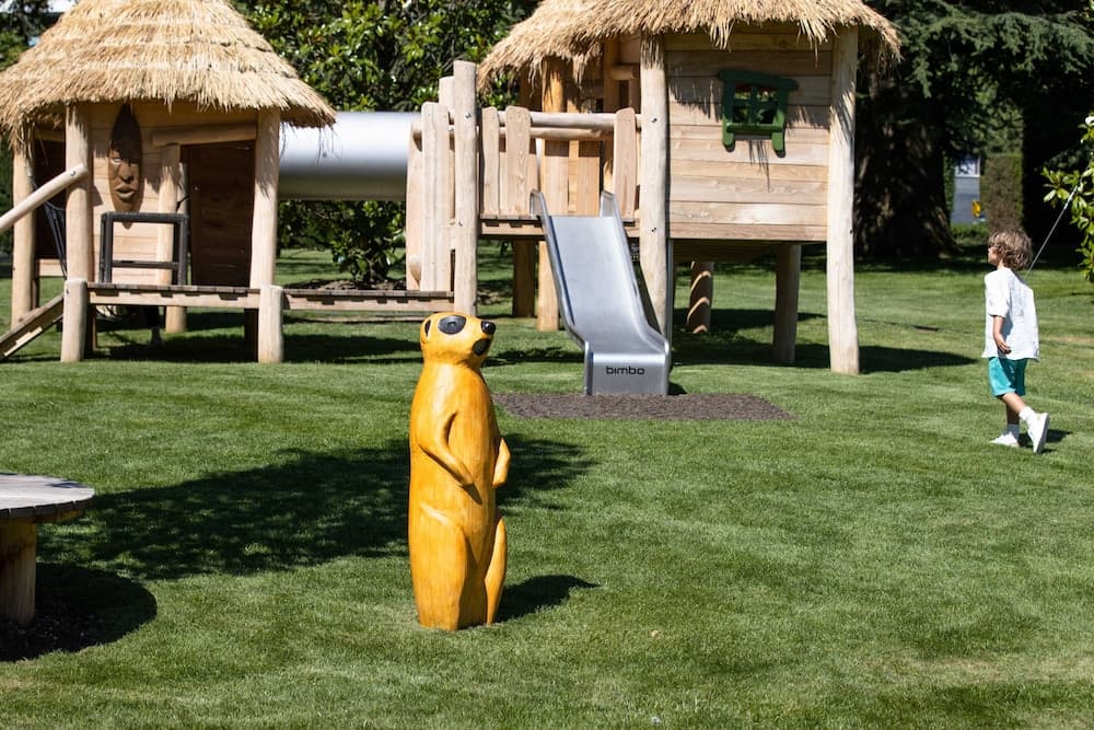 Children's area