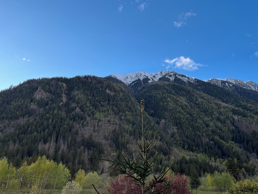 View from room