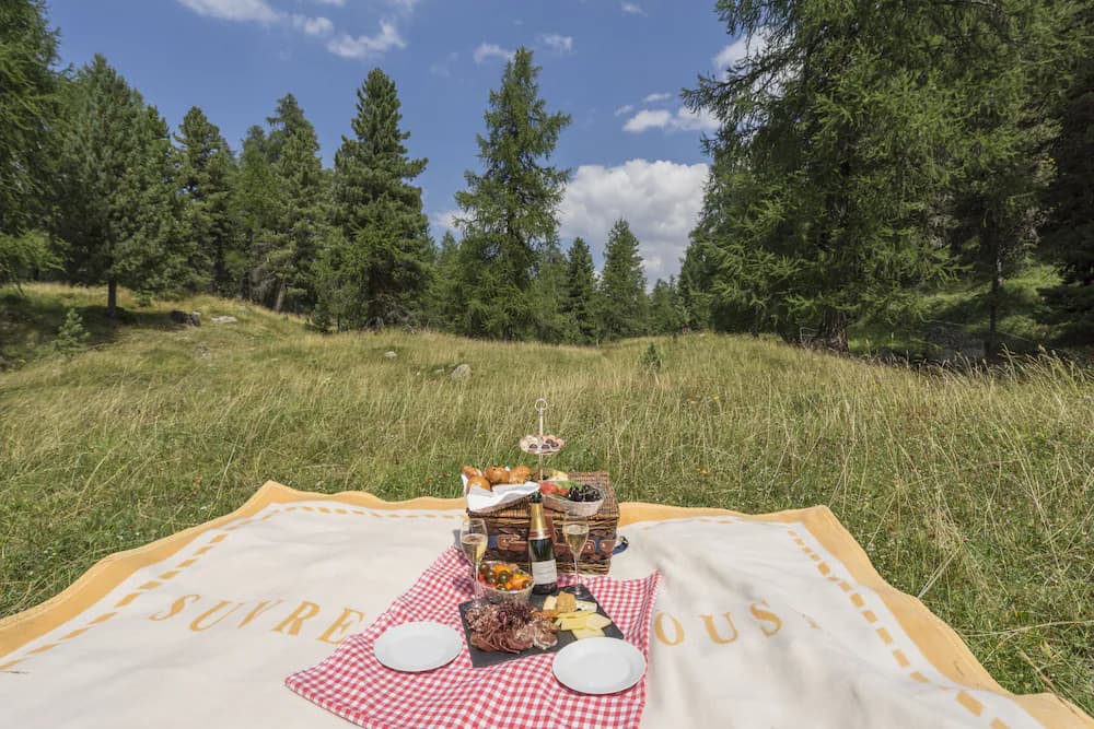 BBQ/picnic area