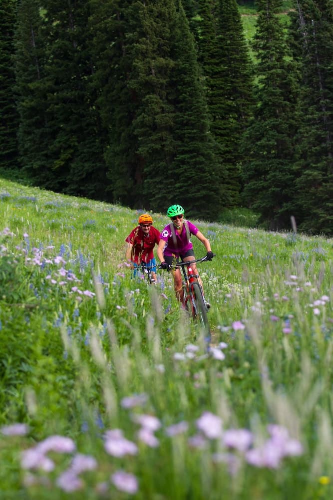 Bicycling