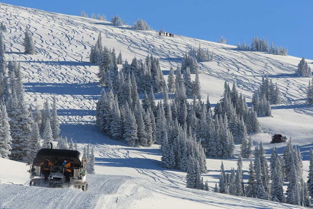Snow and ski sports