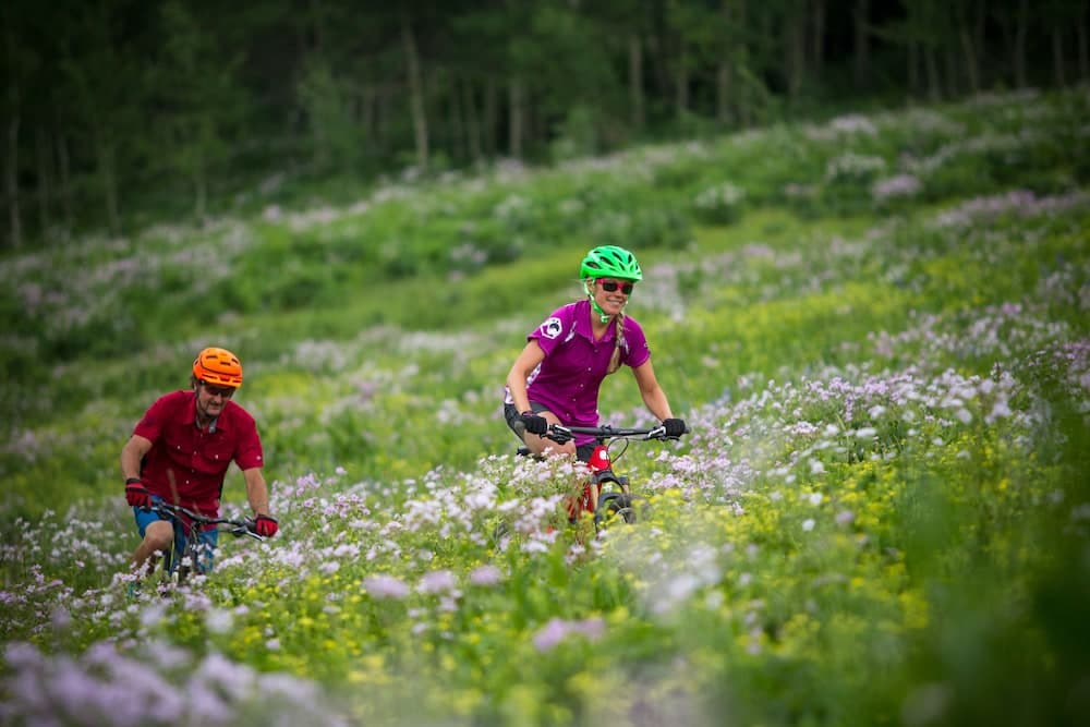 Bicycling