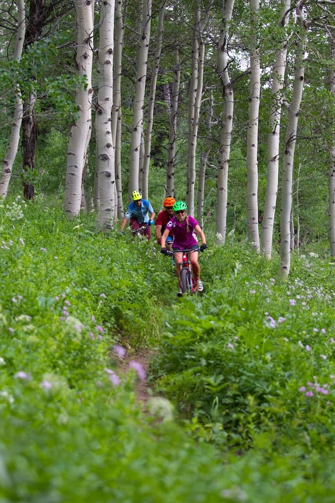 Bicycling