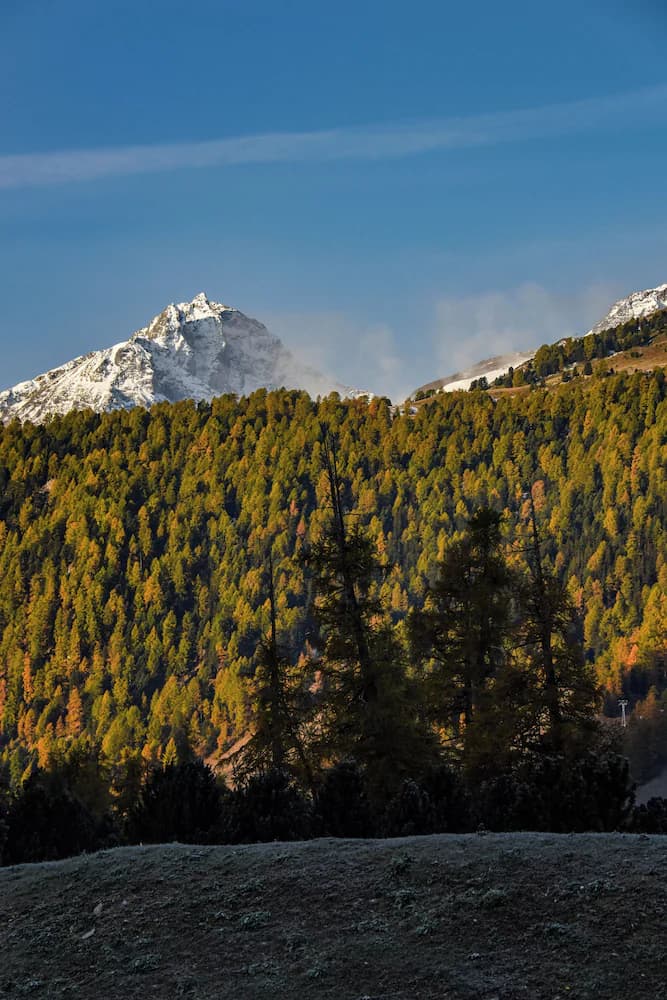 Mountain view