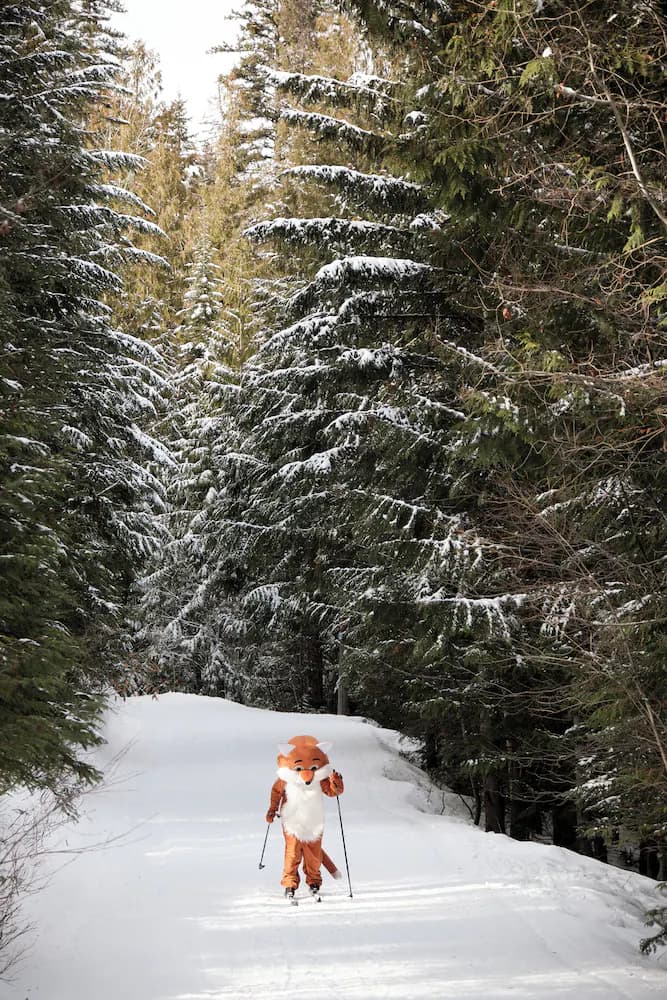 Snow and ski sports