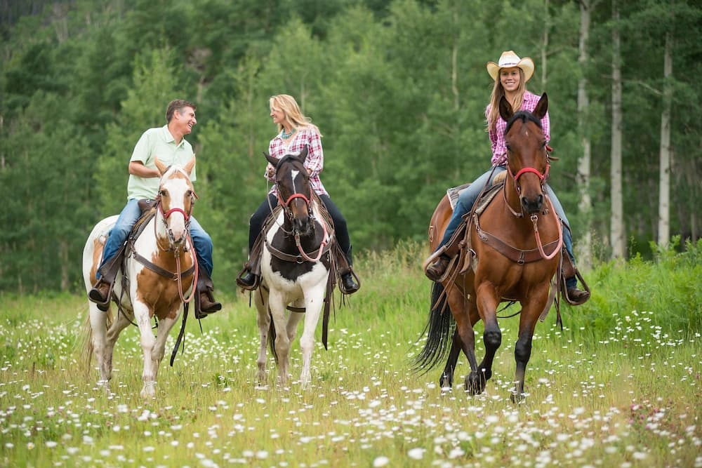 Horseback riding