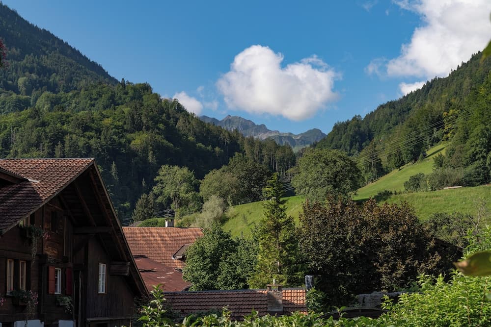 Mountain view