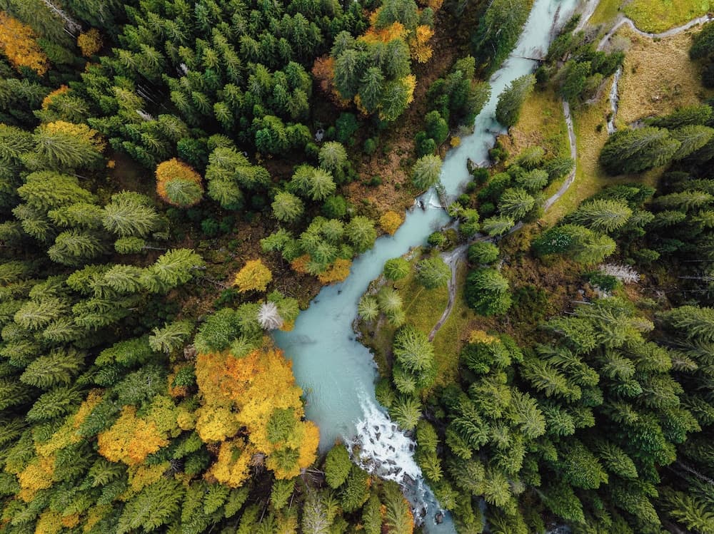 Aerial view