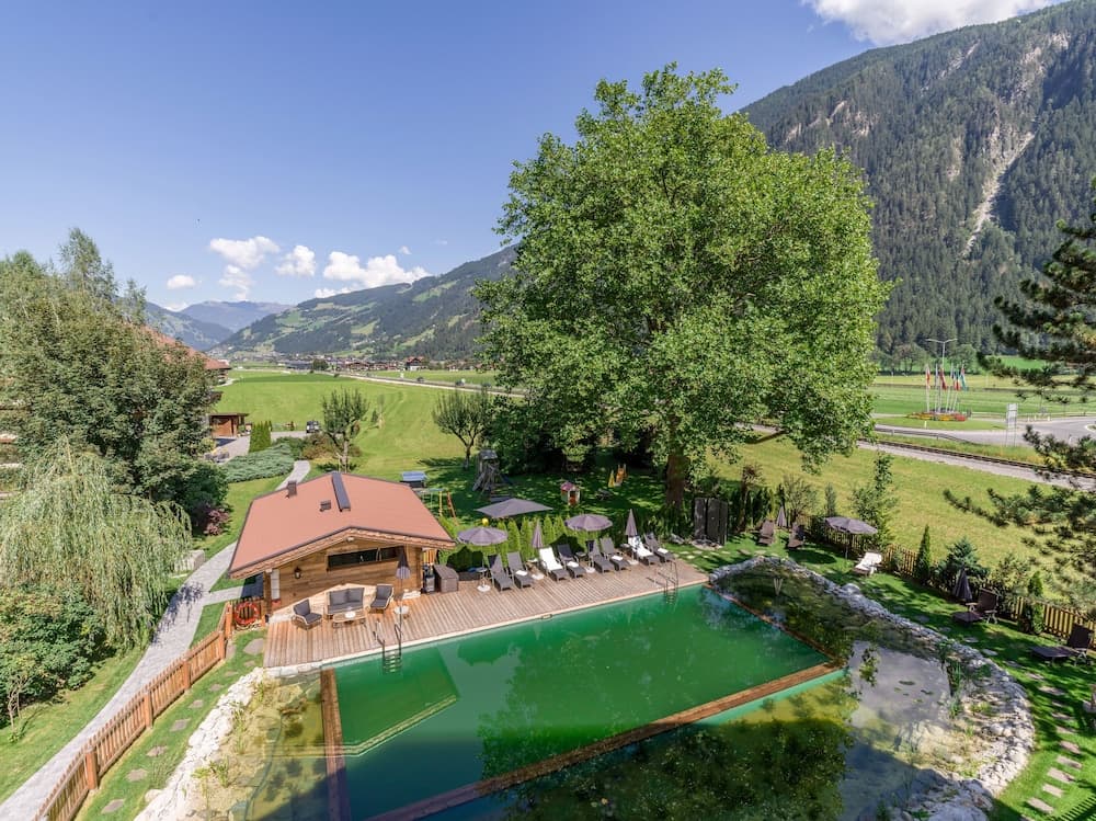 Natural pool