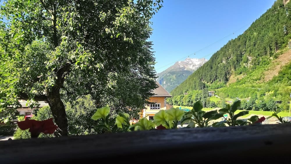 View from room