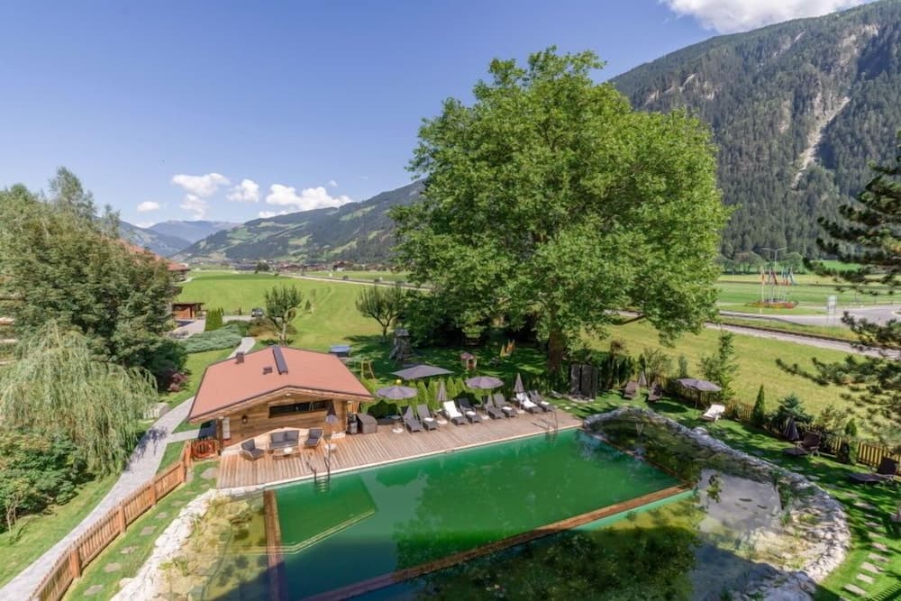 Natural pool