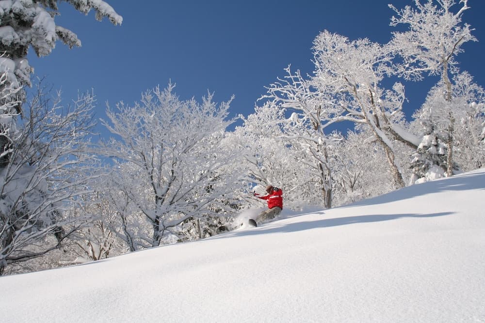 Skiing
