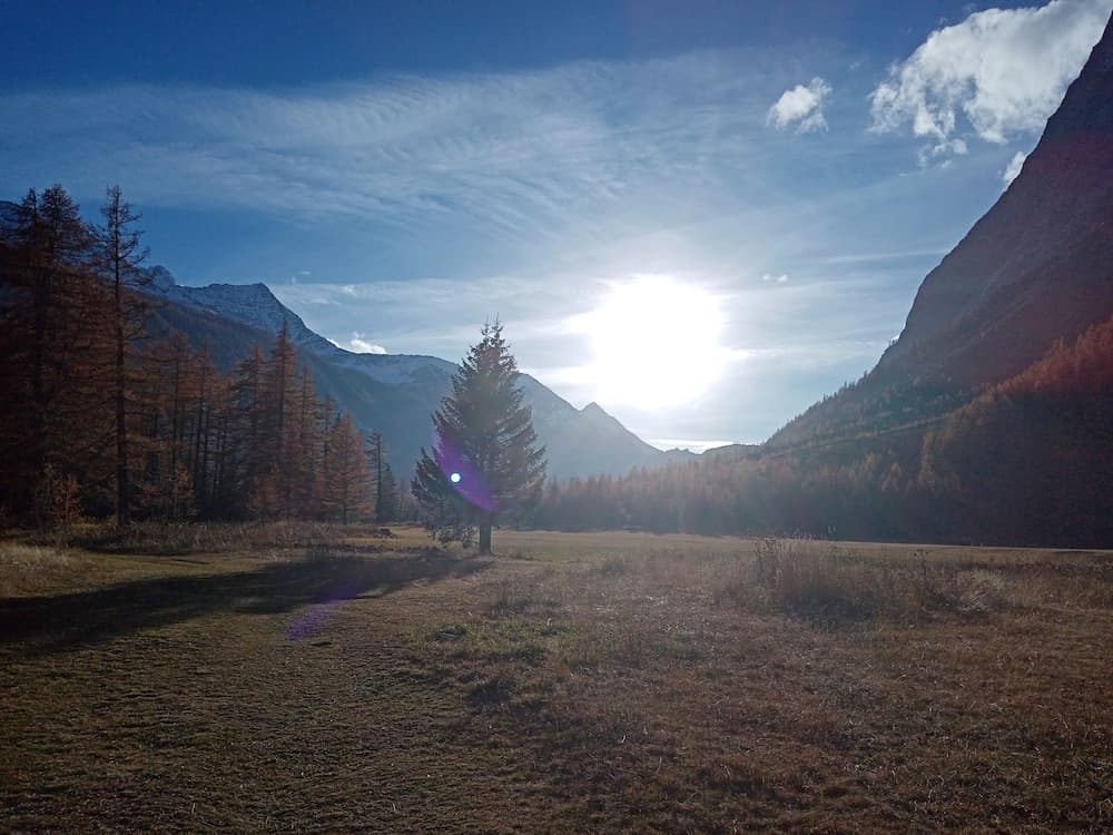 Park view