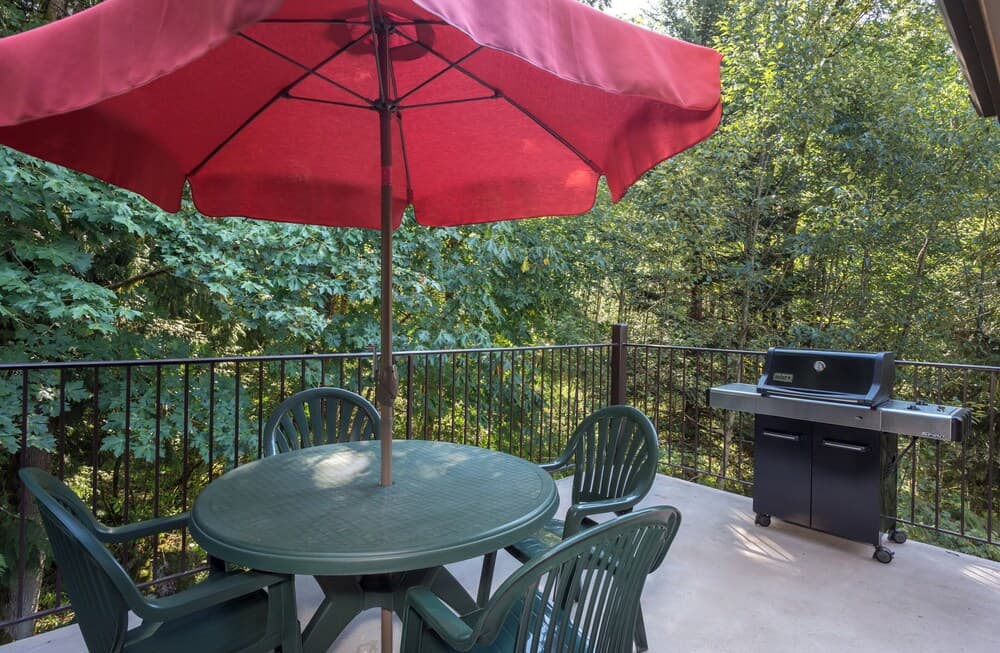 BBQ/picnic area