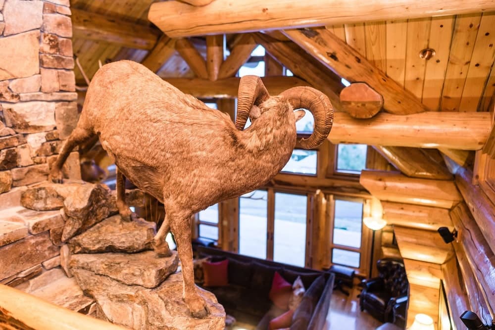 Interior detail