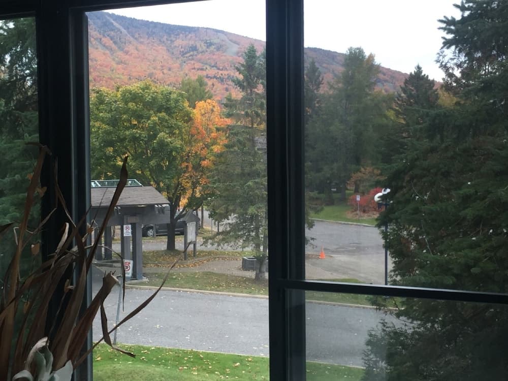 View from room