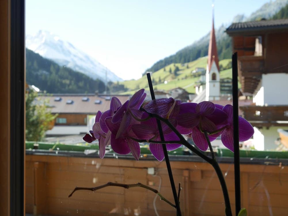 Mountain view