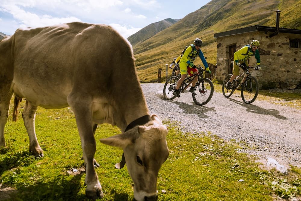 Bicycling
