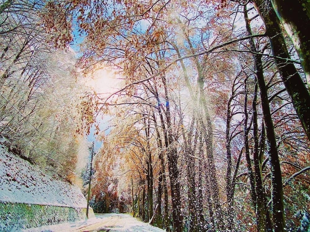 City view from property