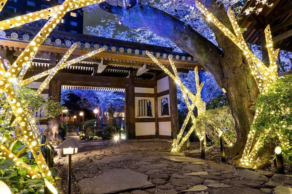 Japanese garden