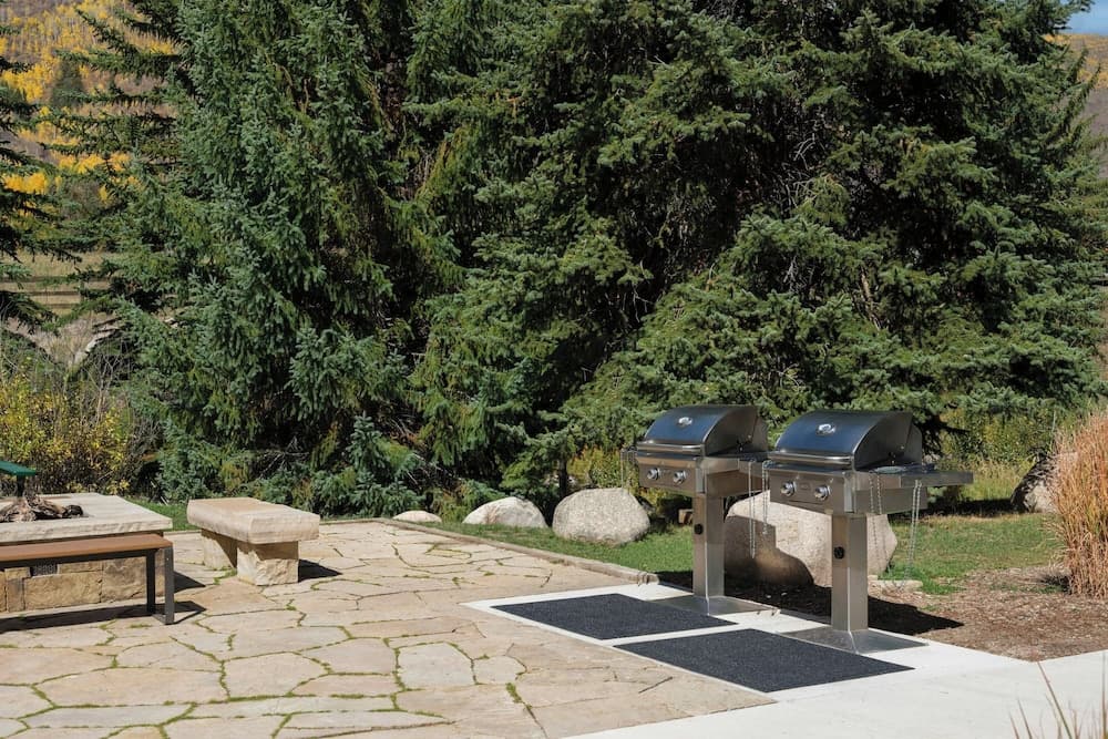 BBQ/picnic area