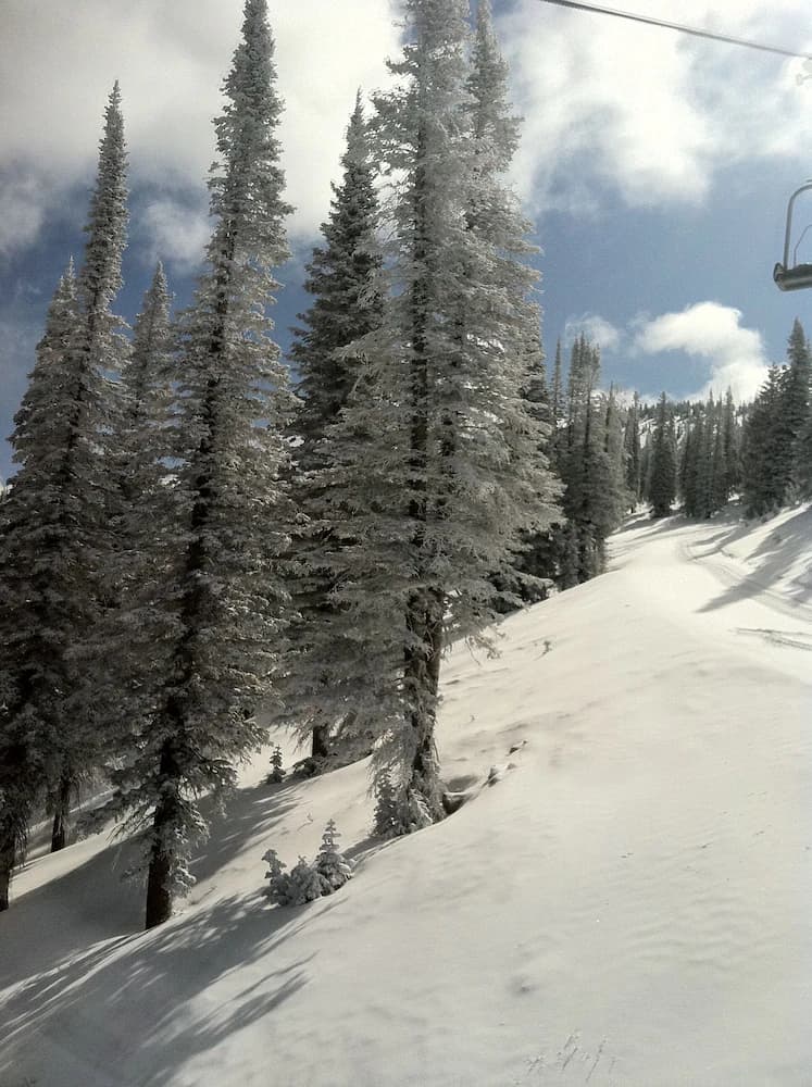 Skiing