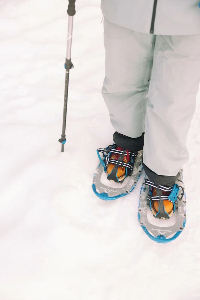 Snowshoeing