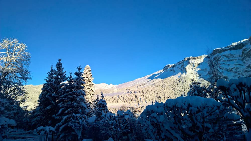 Mountain view