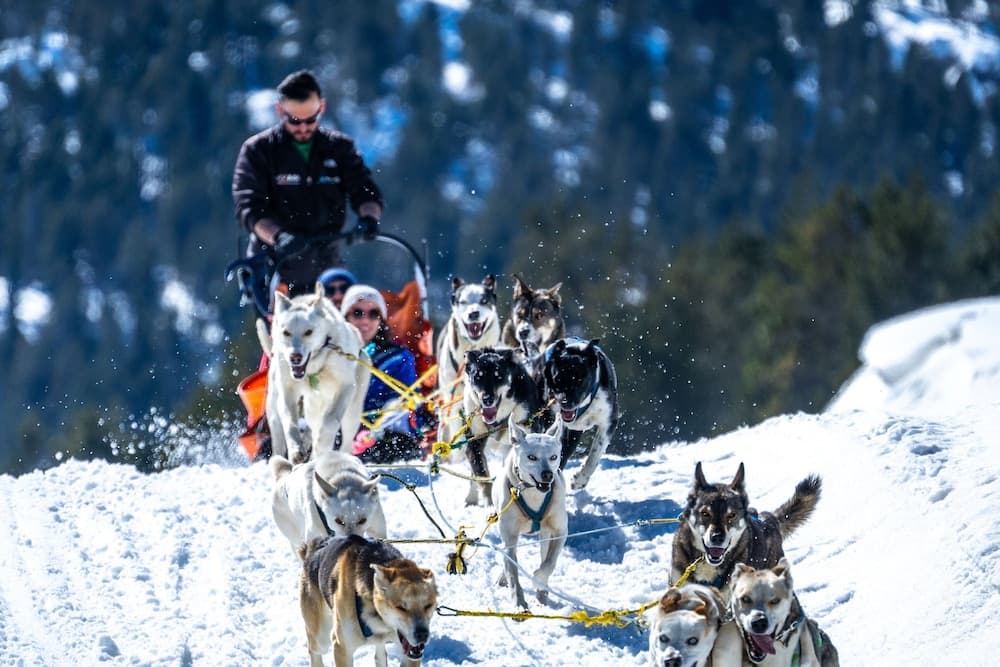 Snow and ski sports