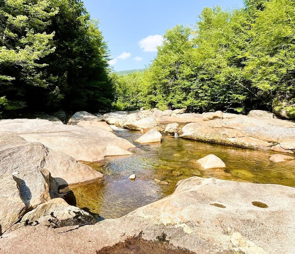 Natural pool