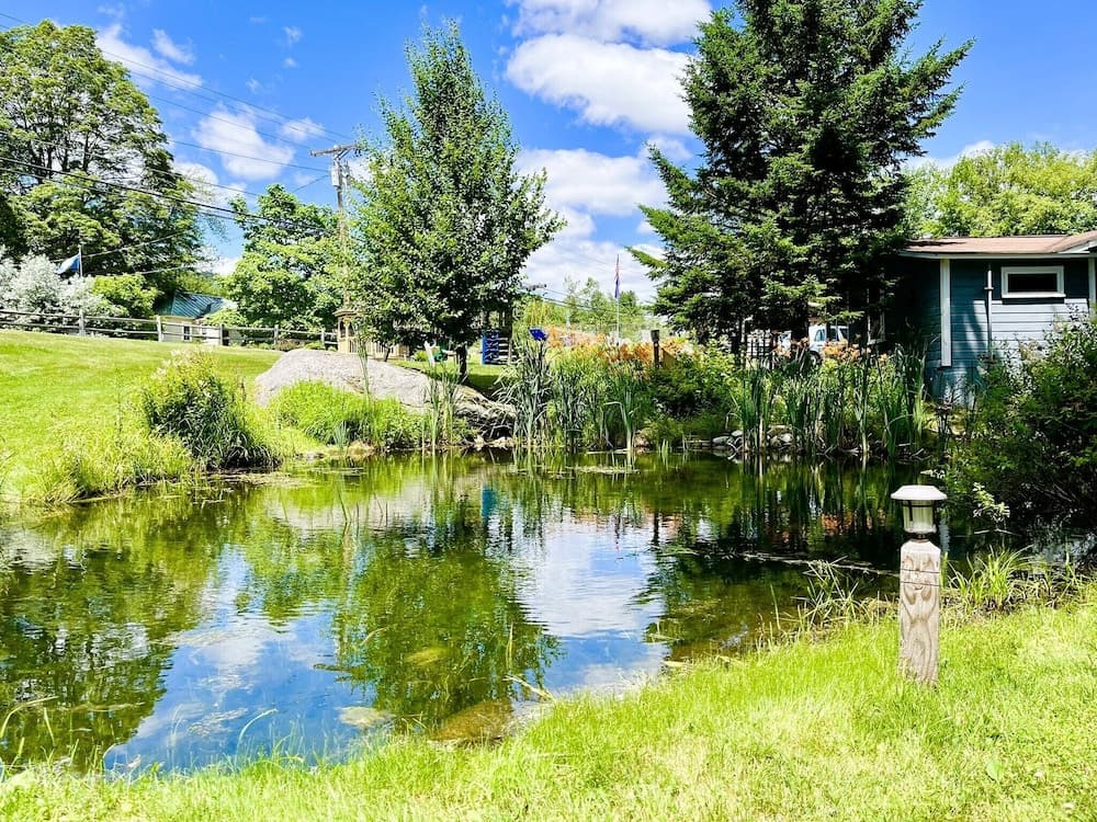View from property