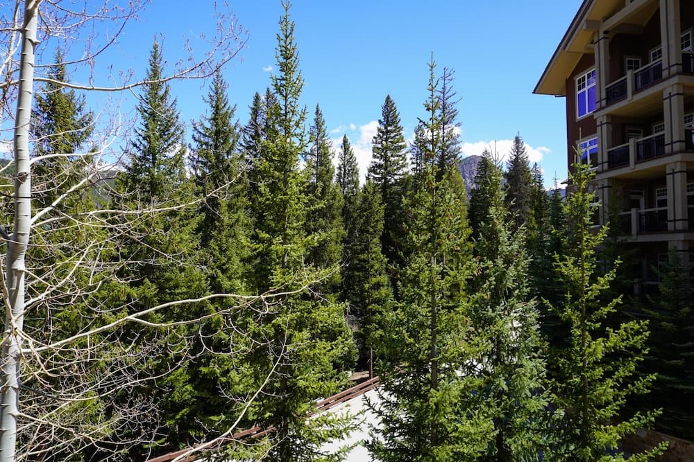 View from room
