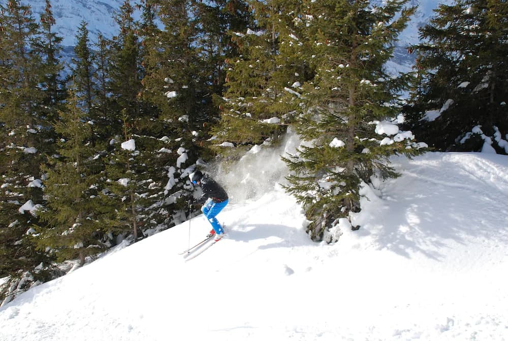 Snow and ski sports