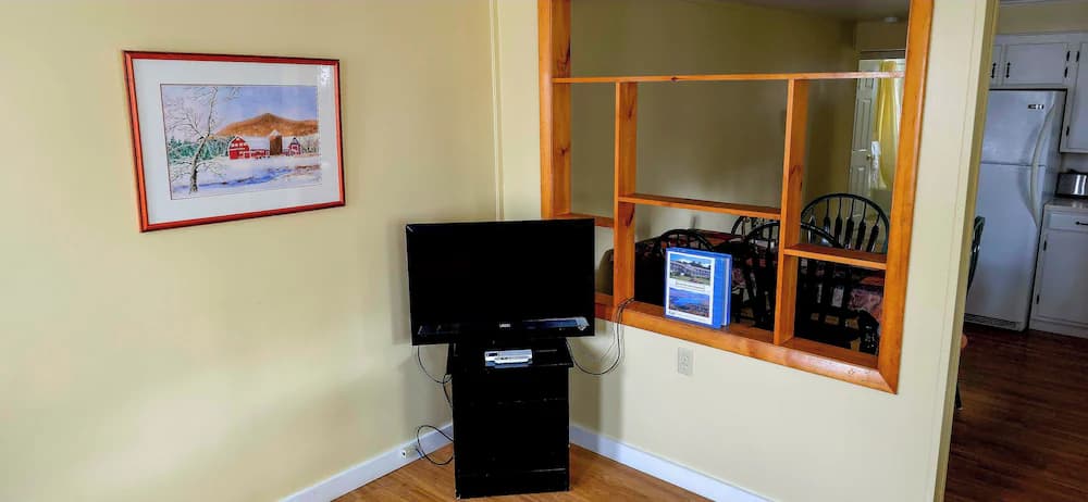 Television