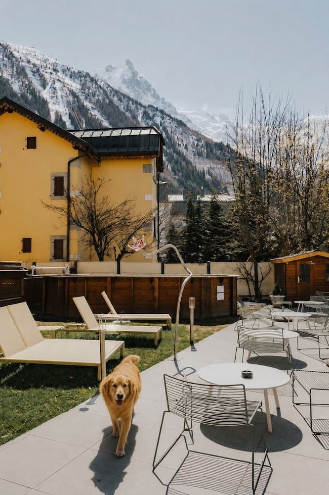 Pet-friendly