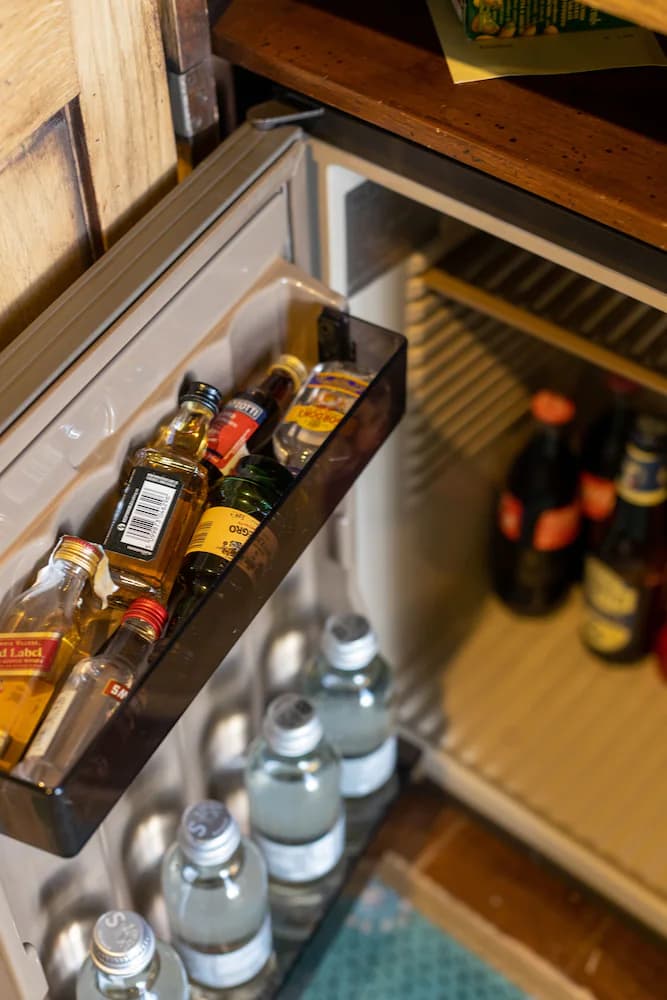 Mini-refrigerator