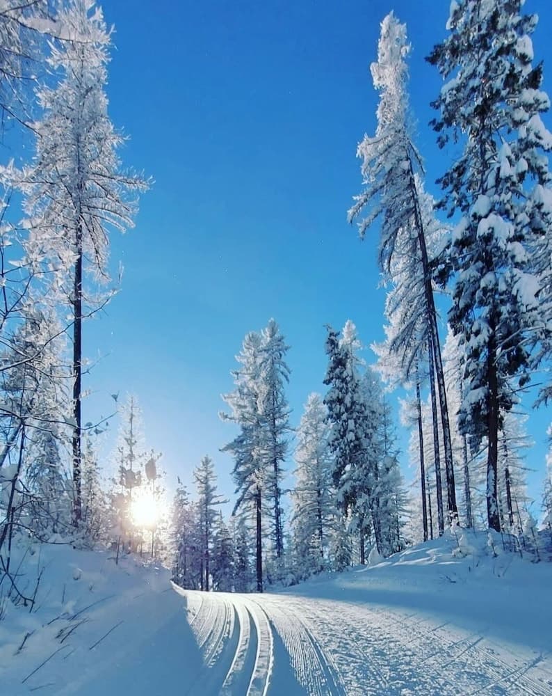 Skiing