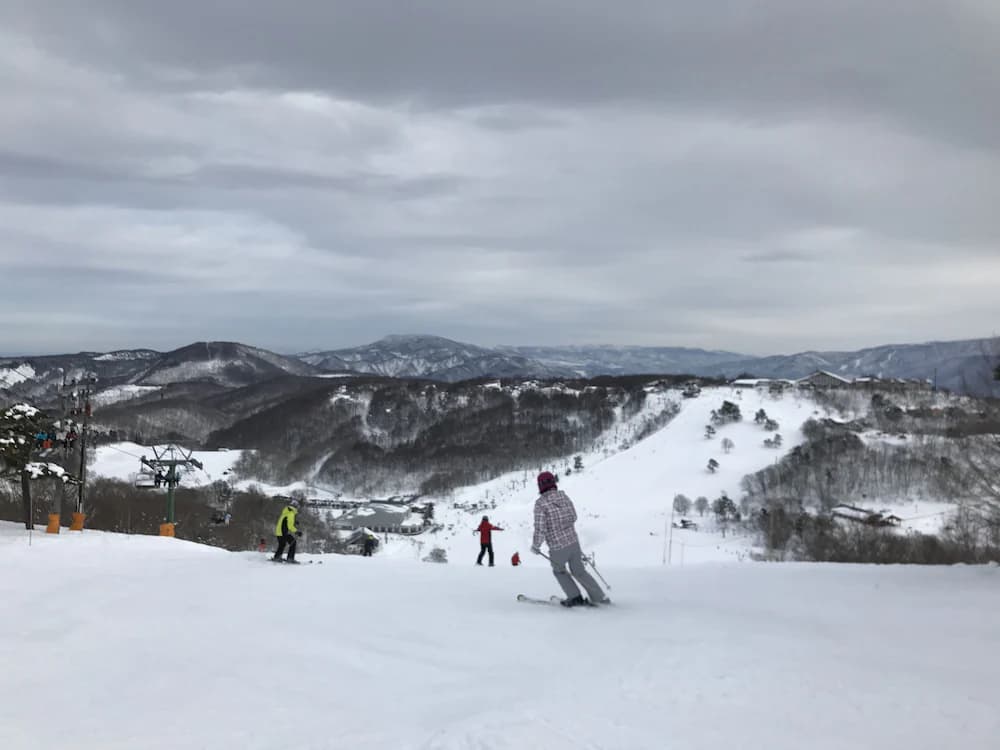 Snow and ski sports