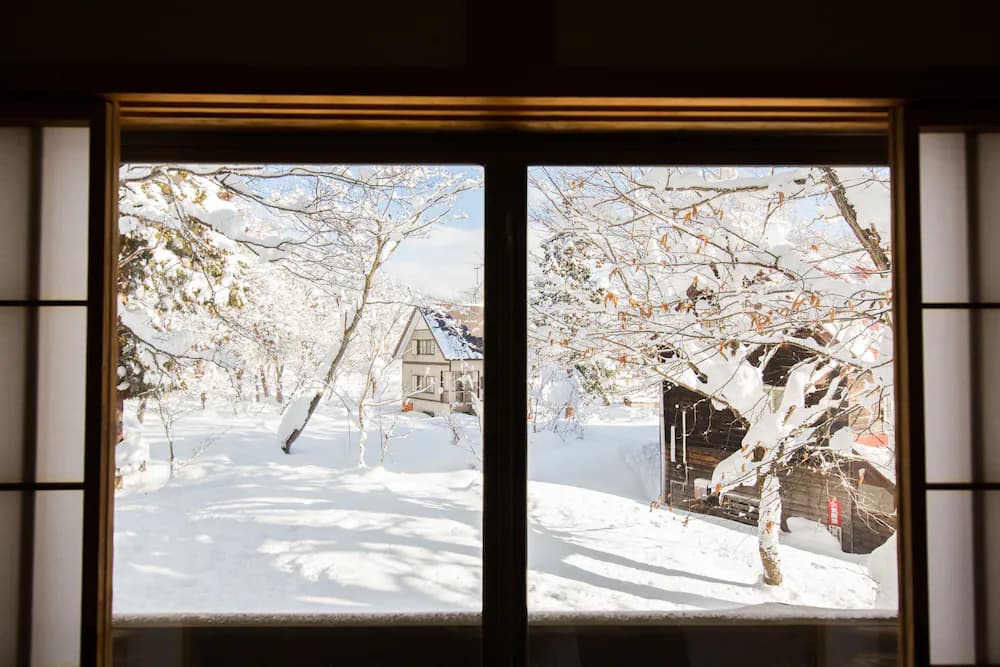 Garden view