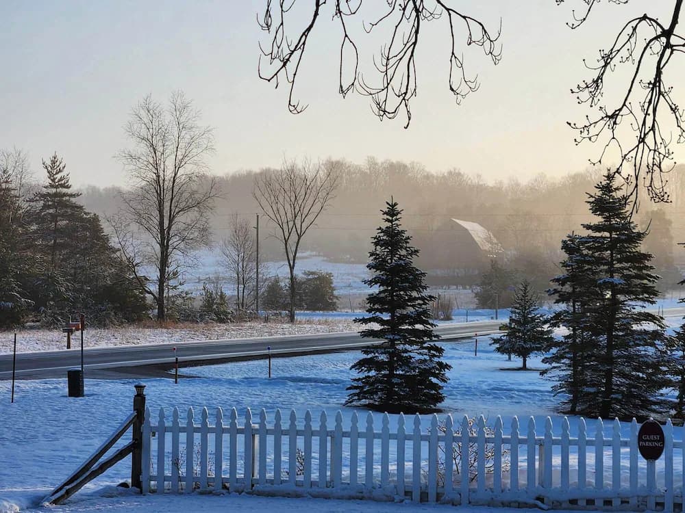 View from property