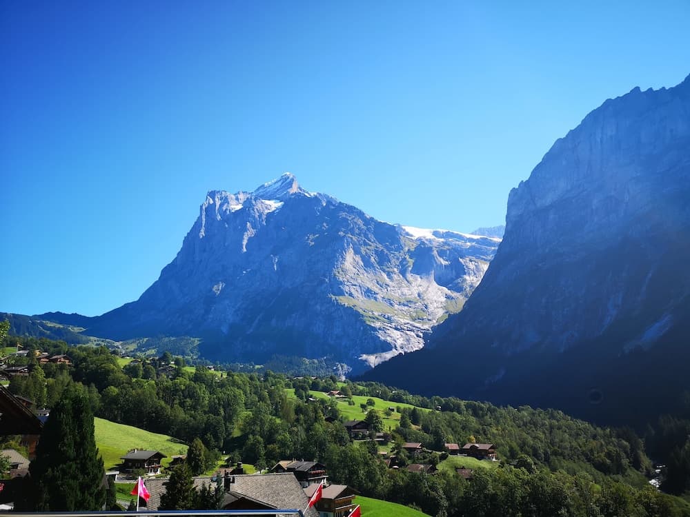 View from room