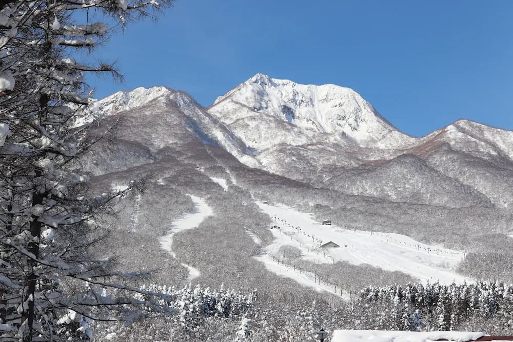 Skiing
