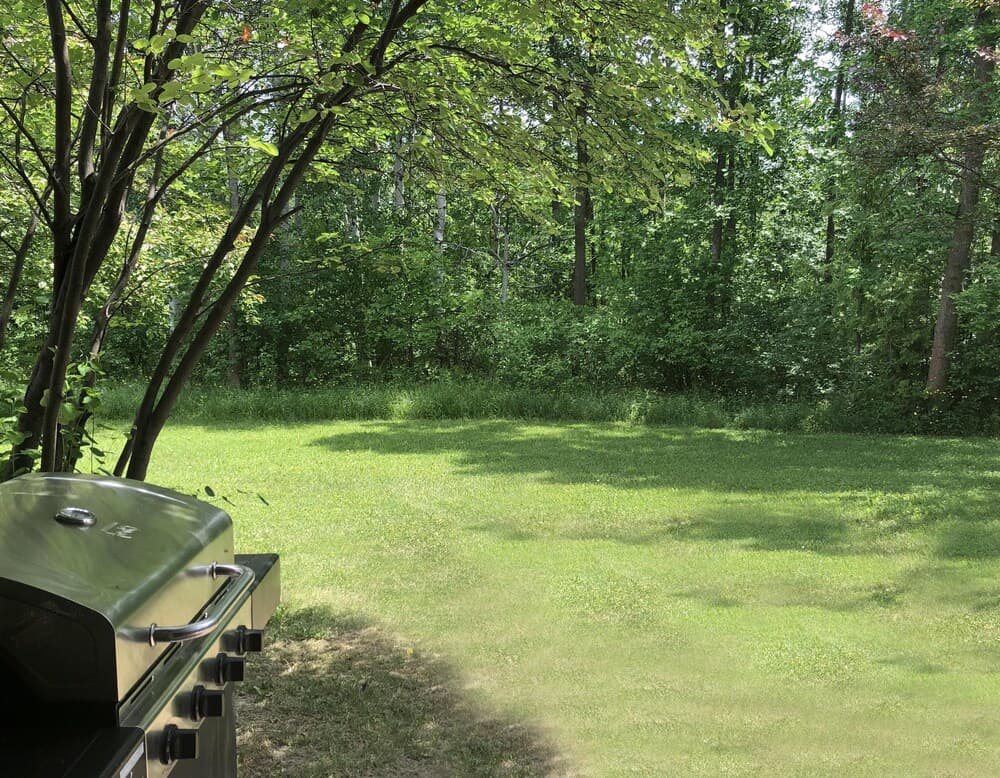 BBQ/picnic area