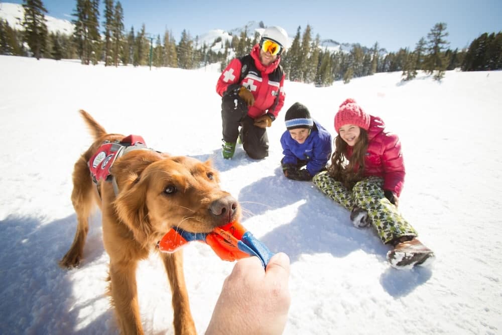 Snow and ski sports