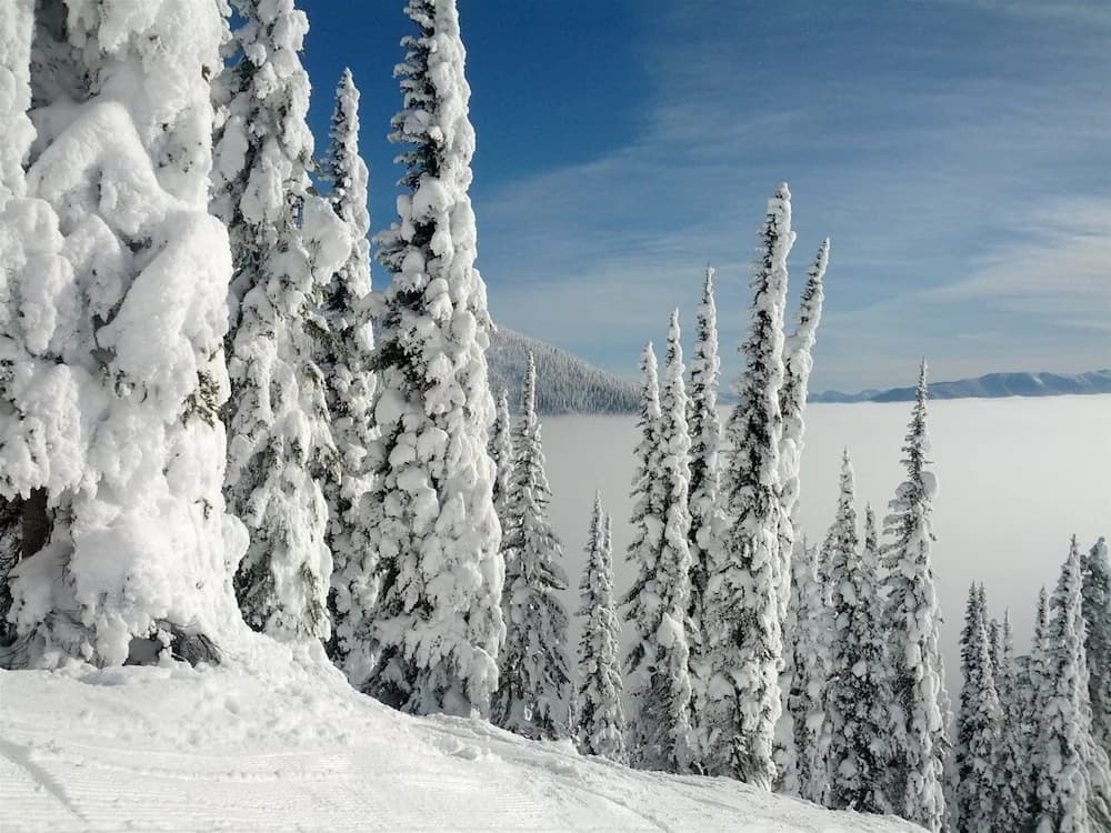 Snow and ski sports