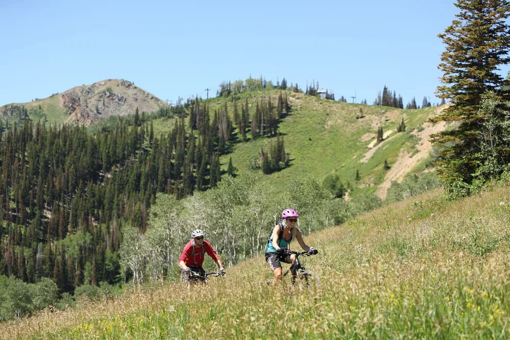 Bicycling