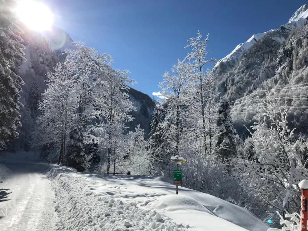 Snow and ski sports