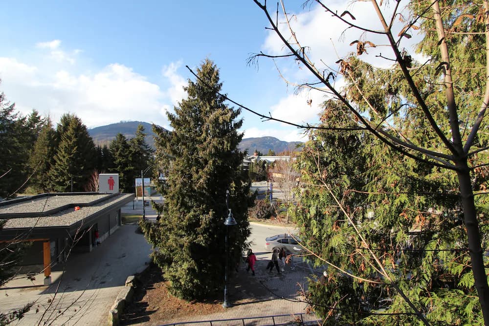 View from property